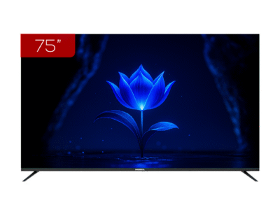Nobel 75 DF12s